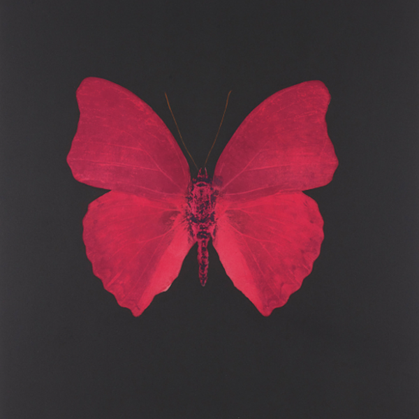 Hirst.2008.Unique Red Butterfly